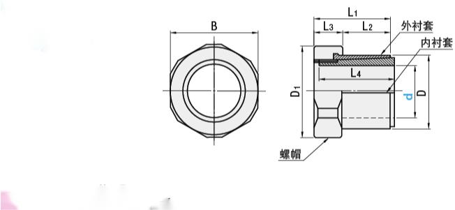 圖片1.jpg